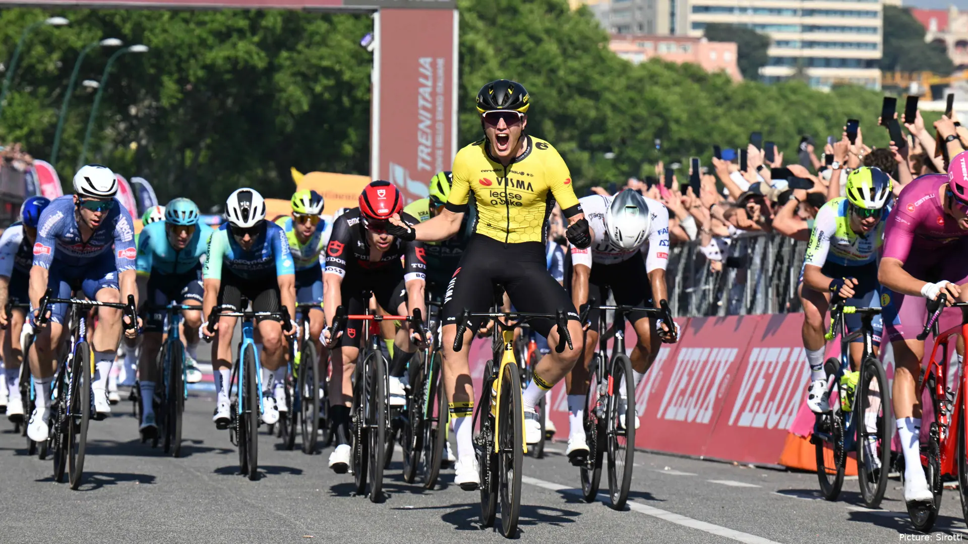 olavkooij 2