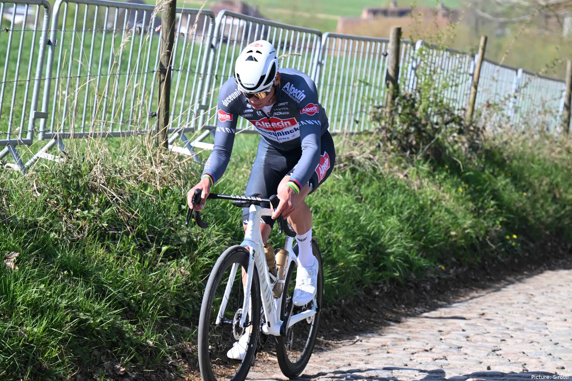 van der poel