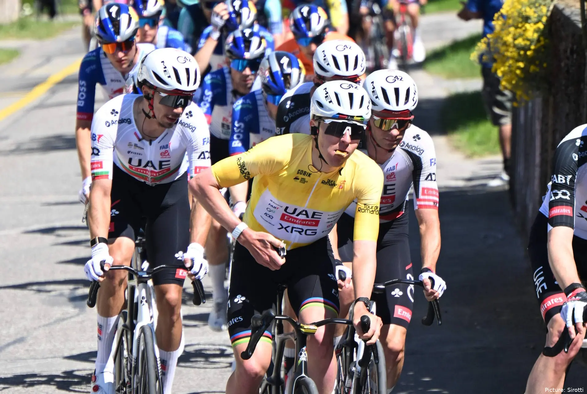 Tadej Pogacar
