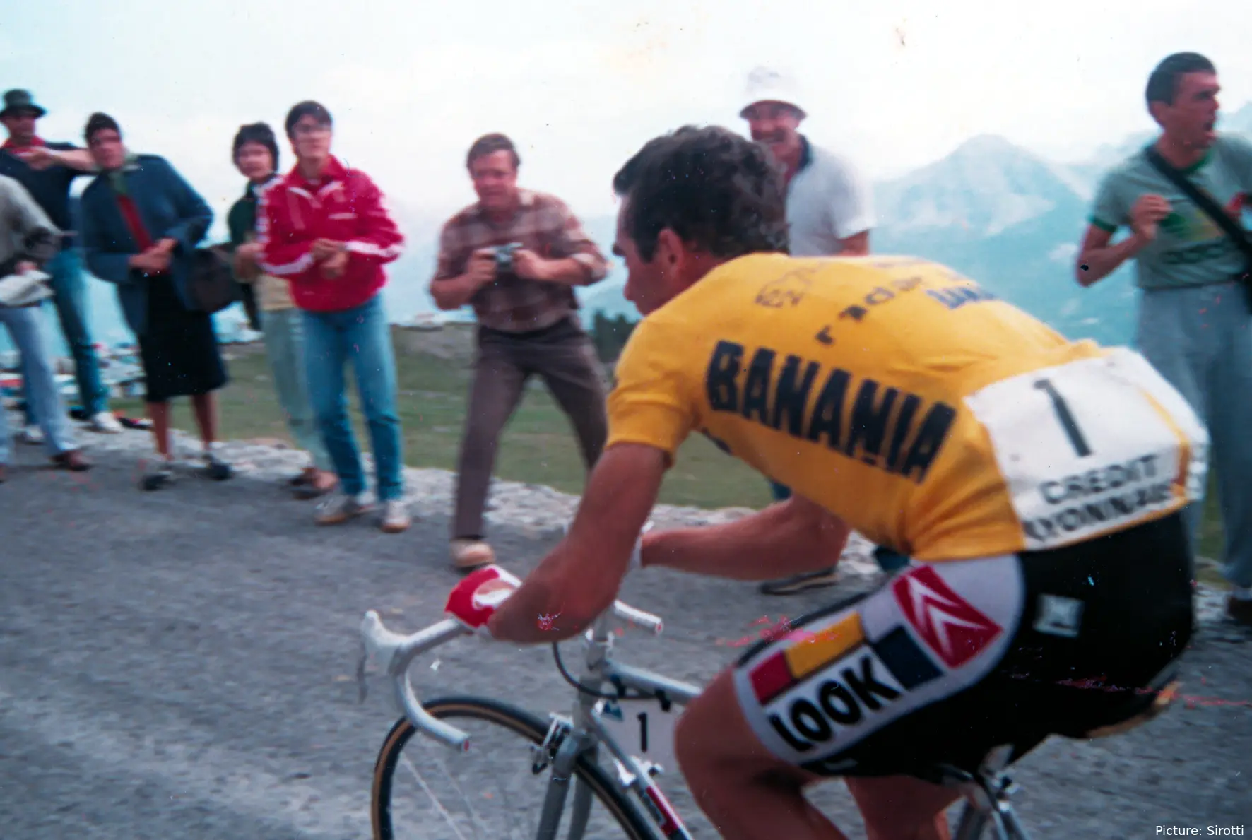 bernard hinault