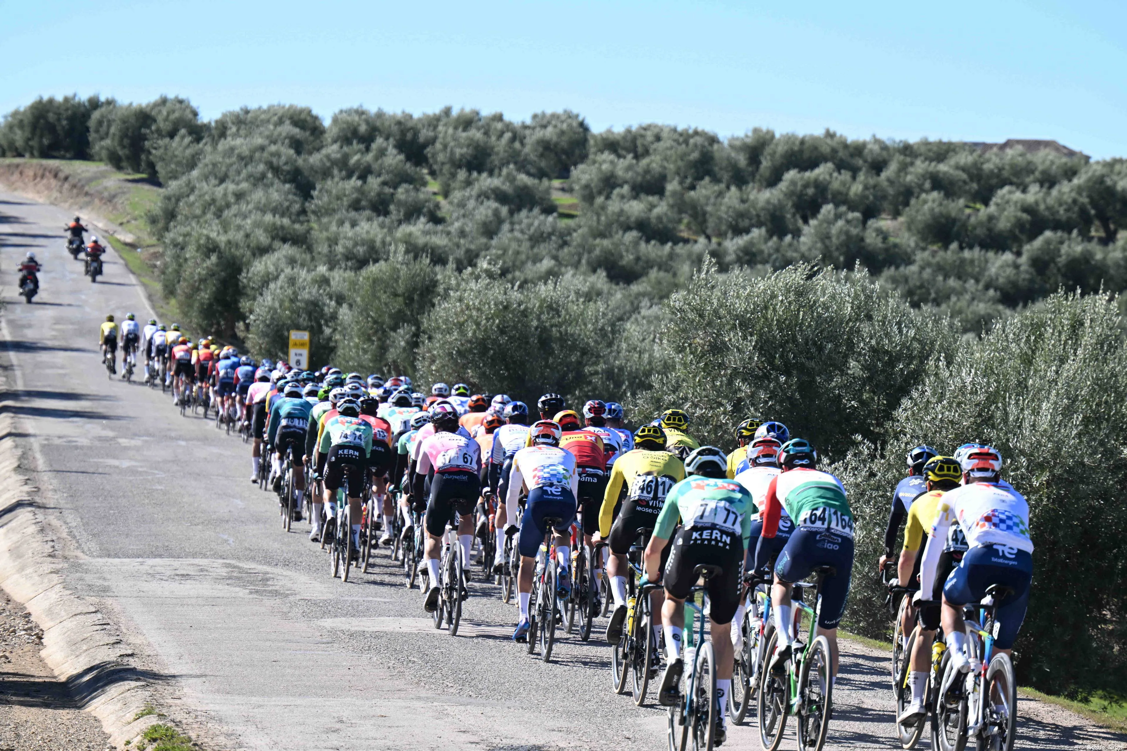 movistar-team-andalucia-1253917630