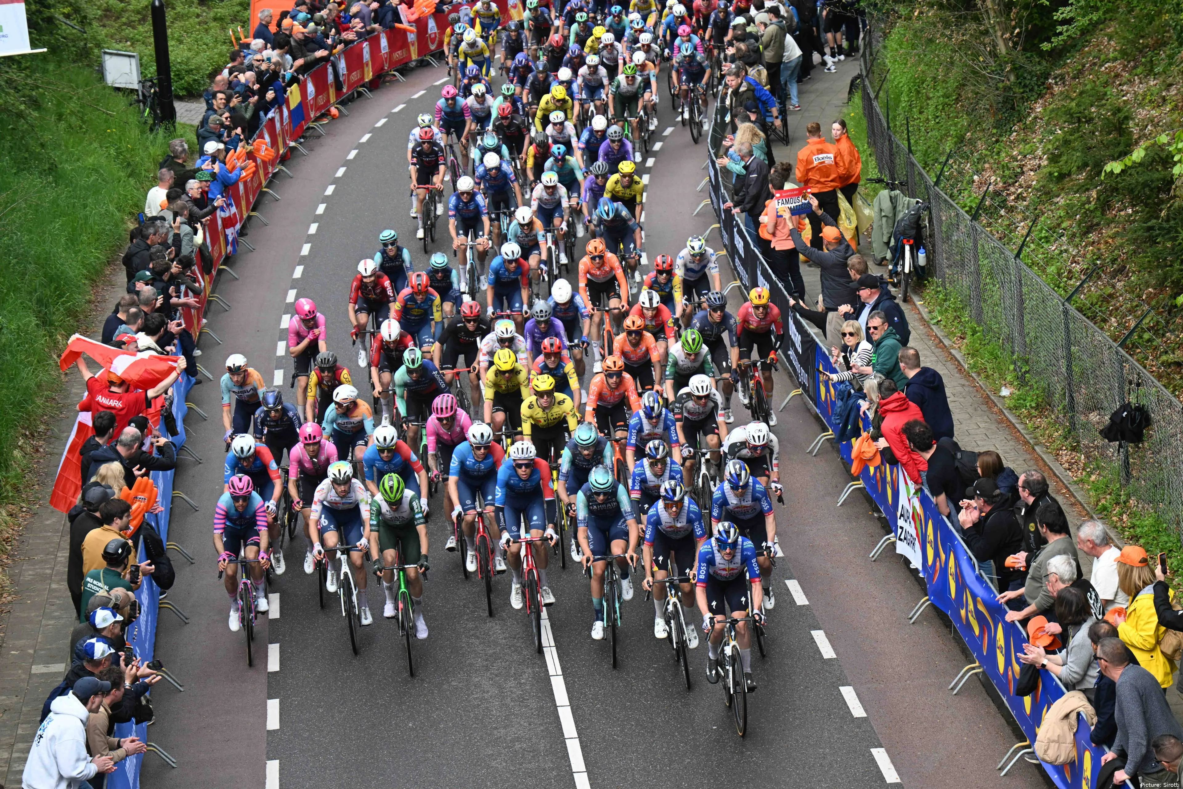 Professional peloton in the 2026 season.