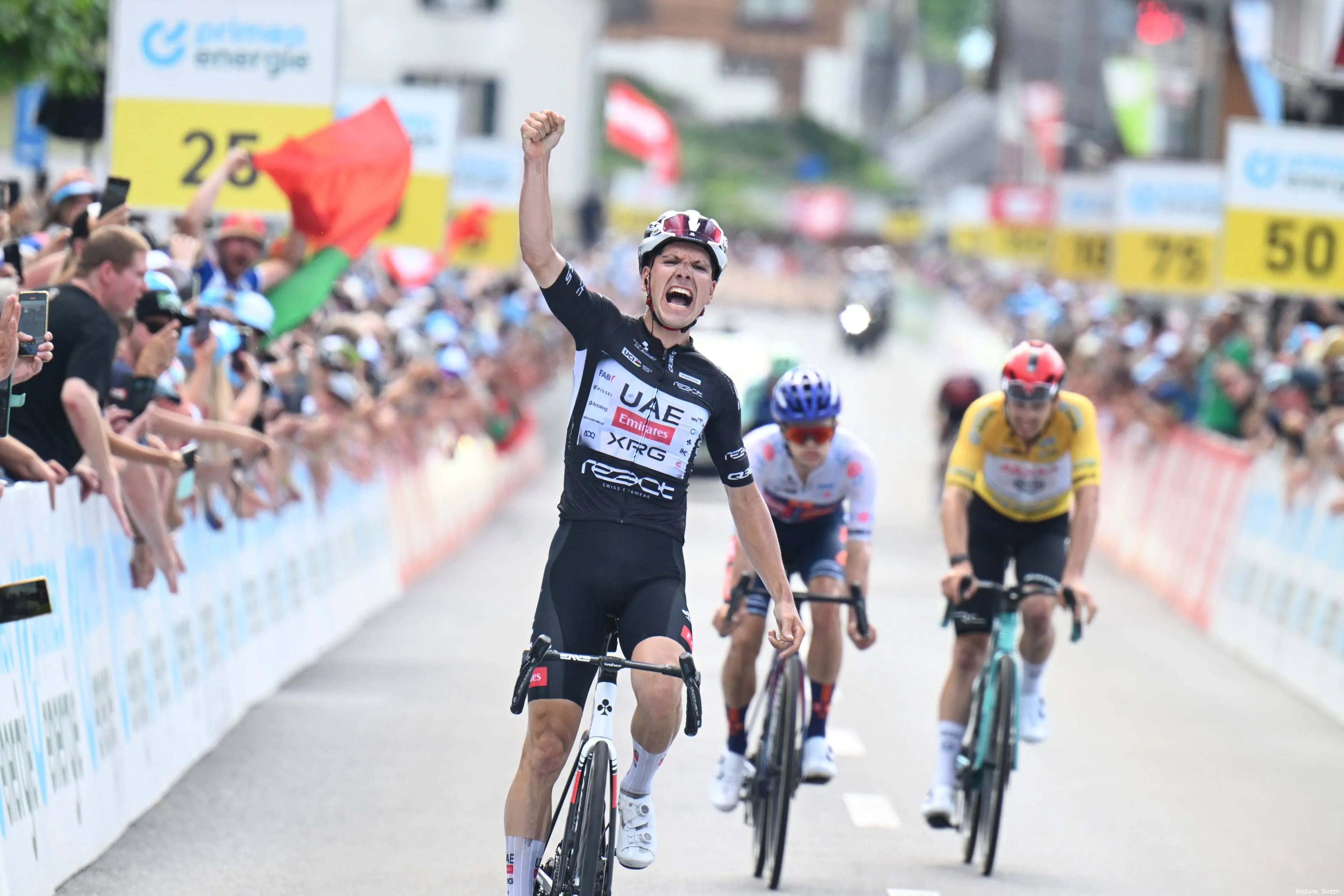 almeida-suiza-1223361919