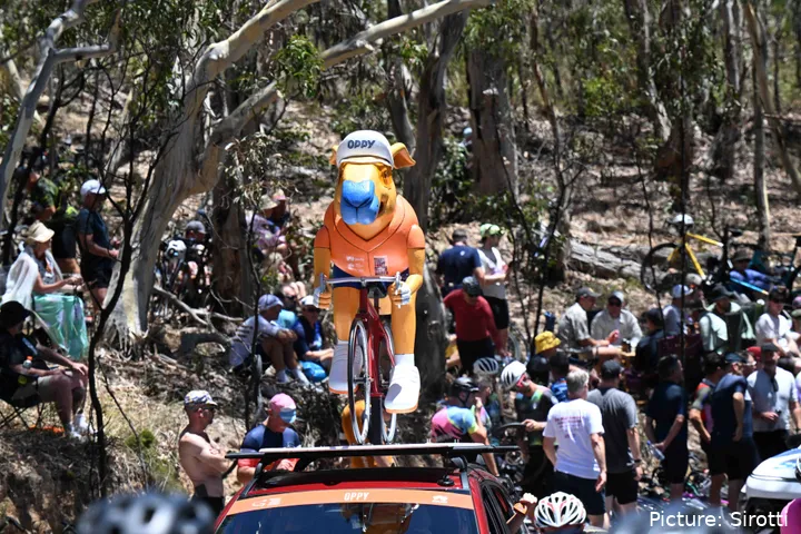 A kangaroo mascot dummy at the Tour Down Under to entertain crowds&nbsp;