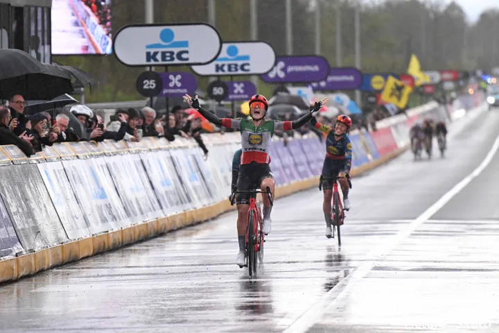 De Ronde van Vlaanderen is een van de vele opmerkelijke successen voor Longo Borghini in 2024