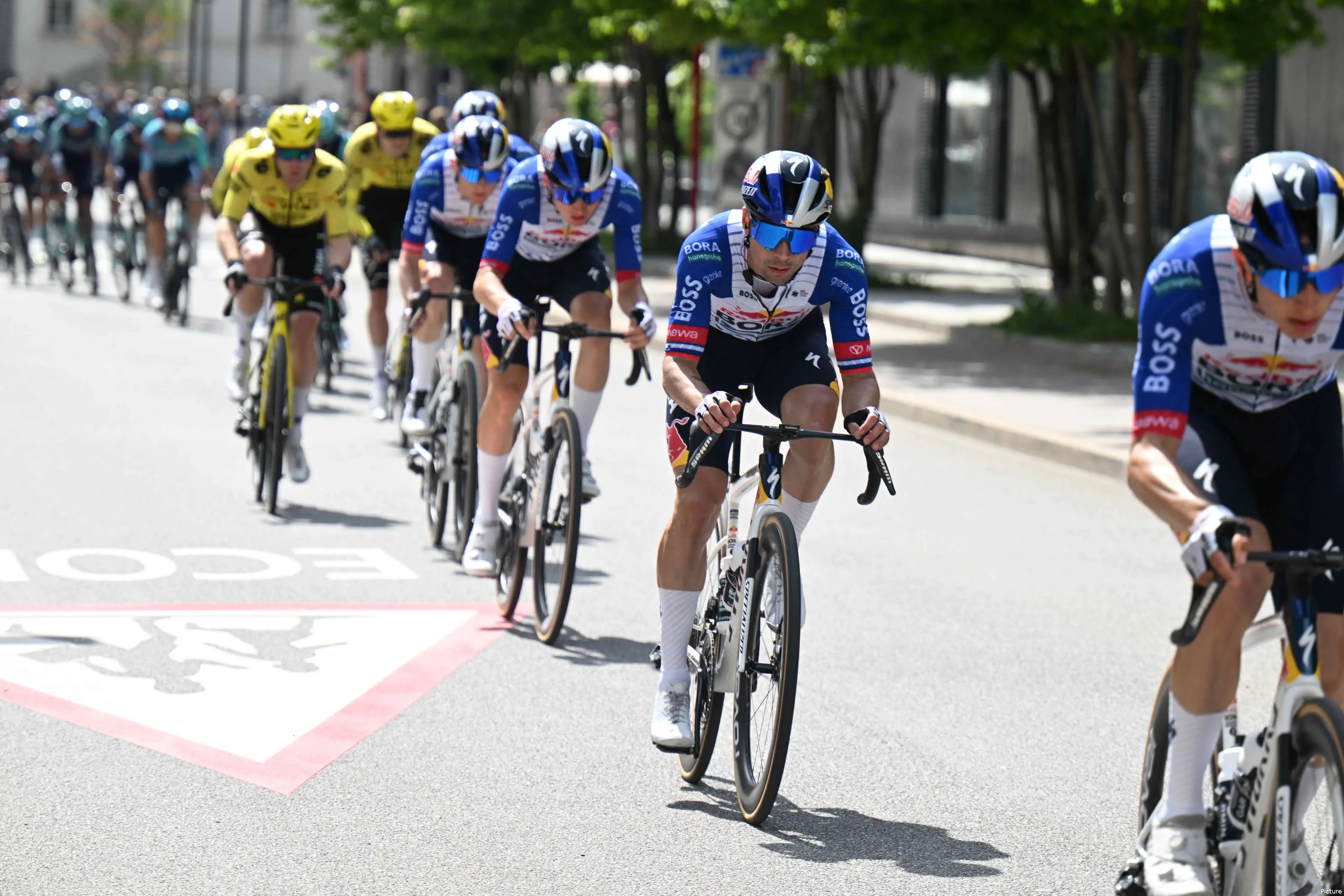 Meta Roglic “La dirección de Red Bull debe de estar harta de Primoz Roglic ...