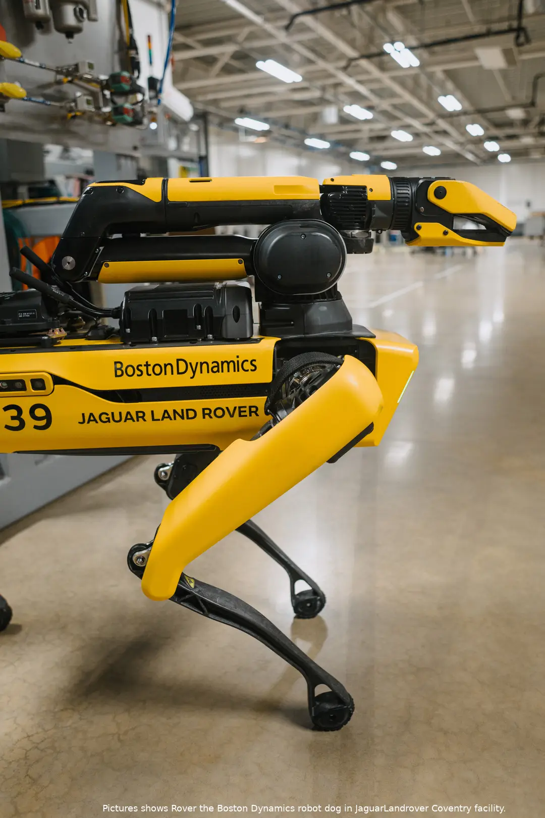 rover robotdog lyonspark tc 7559