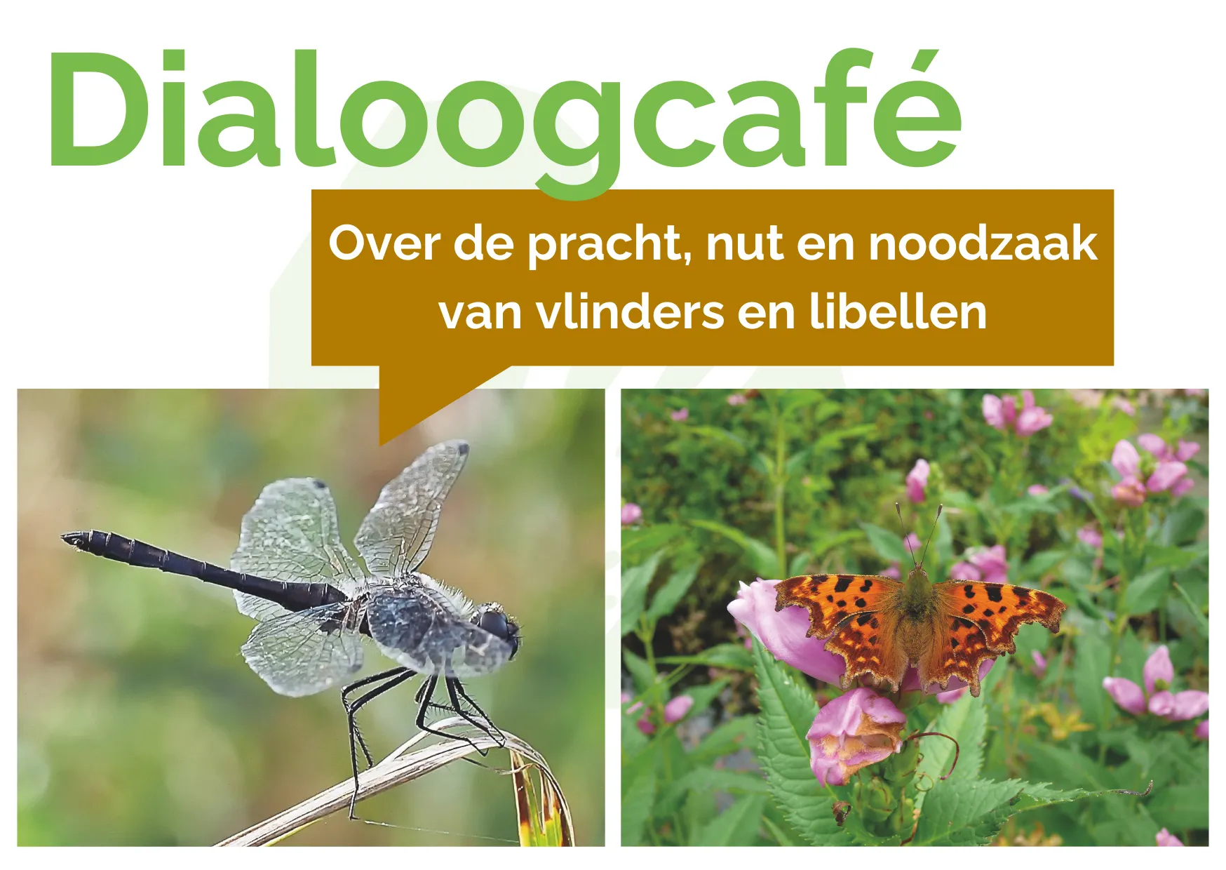 foto dialoogcafe 1 oktober