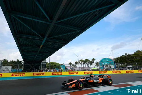 <i>Norris maakte een fout in de laatste bocht.</i>