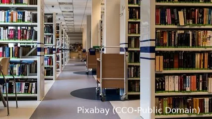 bibliotheek meer dan boeken alleen 2 px 1