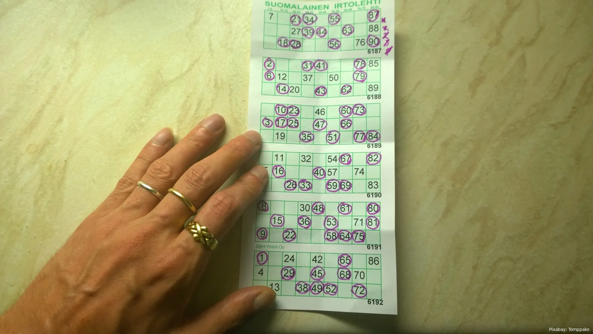Bingo