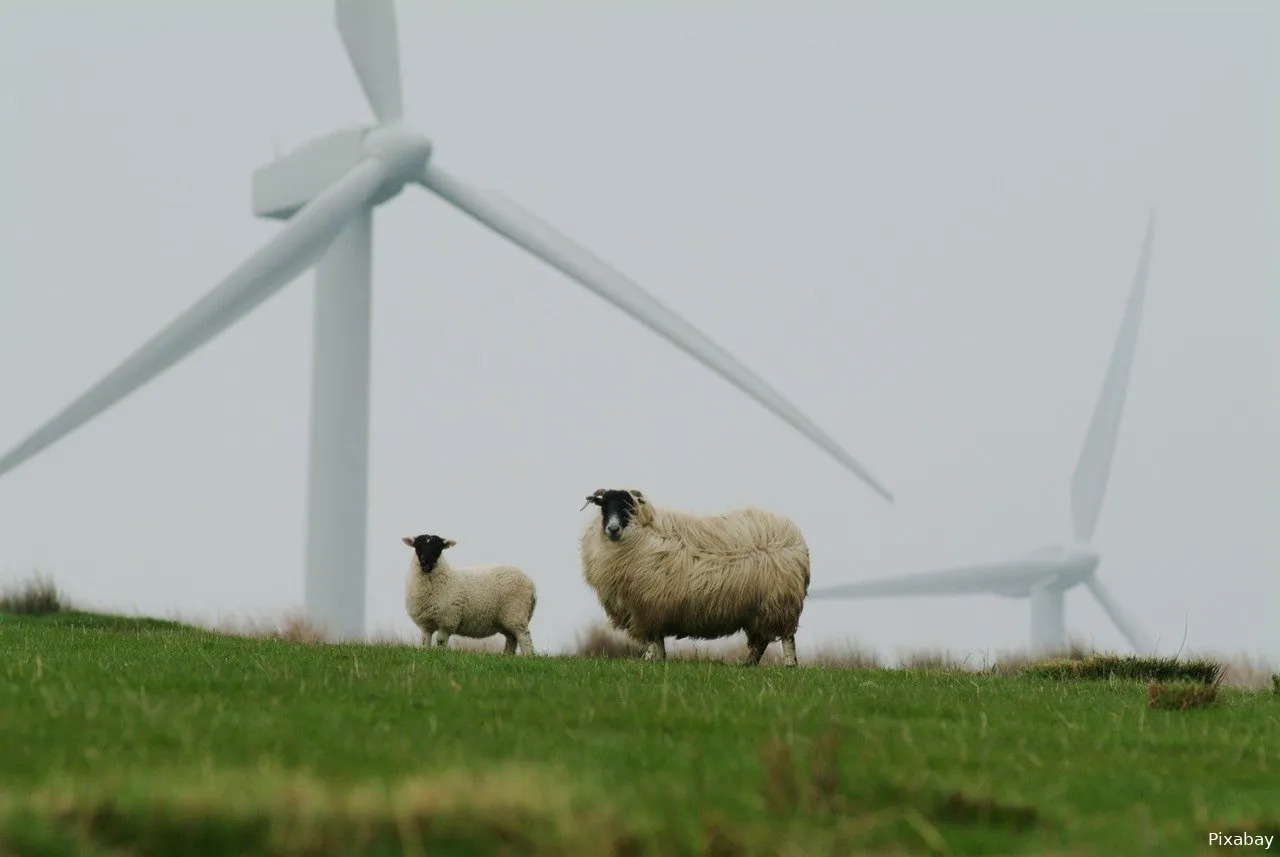 windmolen sheep 5915813 1280