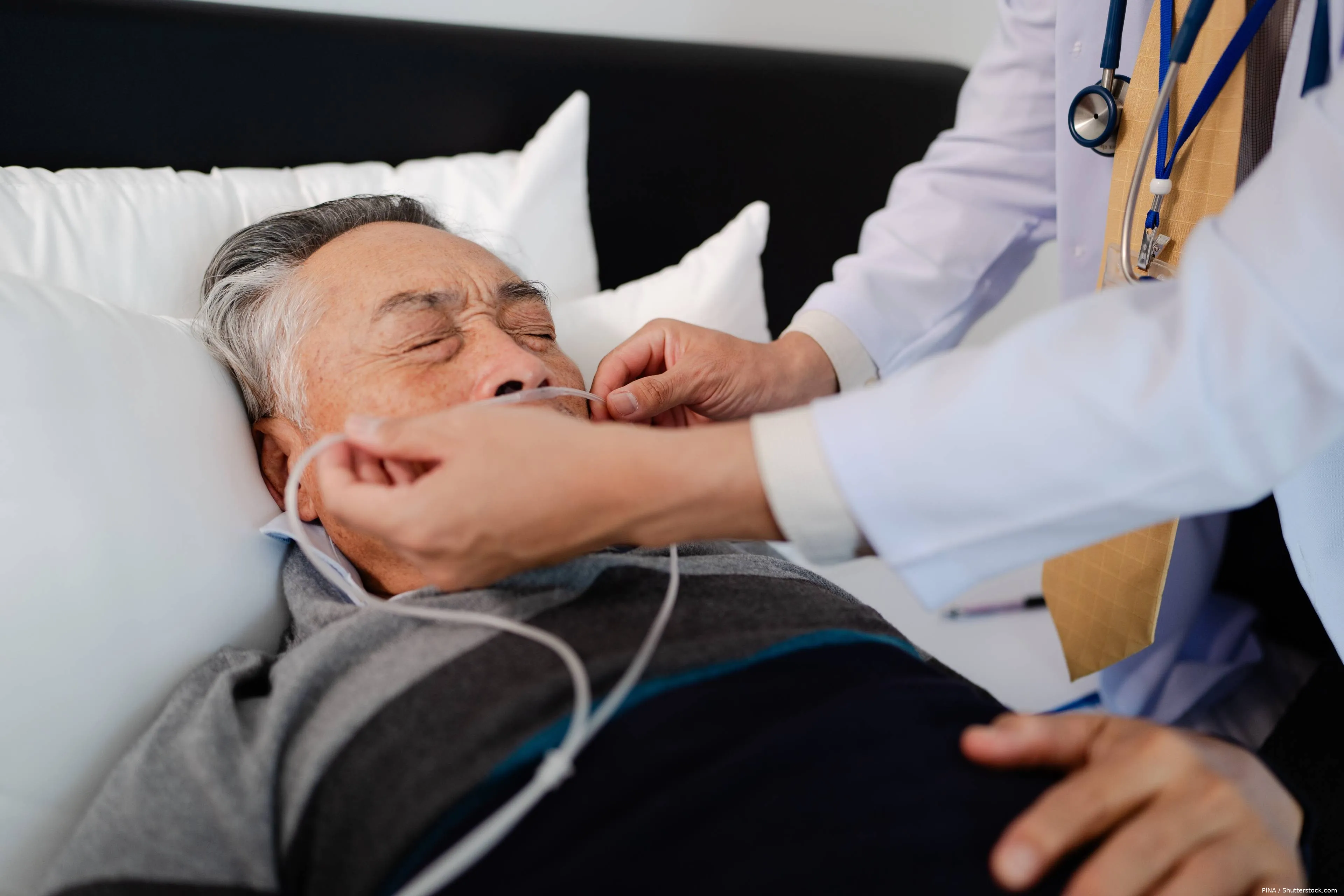 shutterstock_2664171217