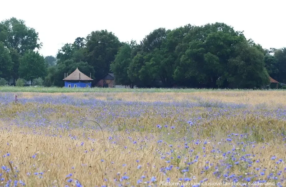 platform natuurinclusieve landbouw bc7a704db3