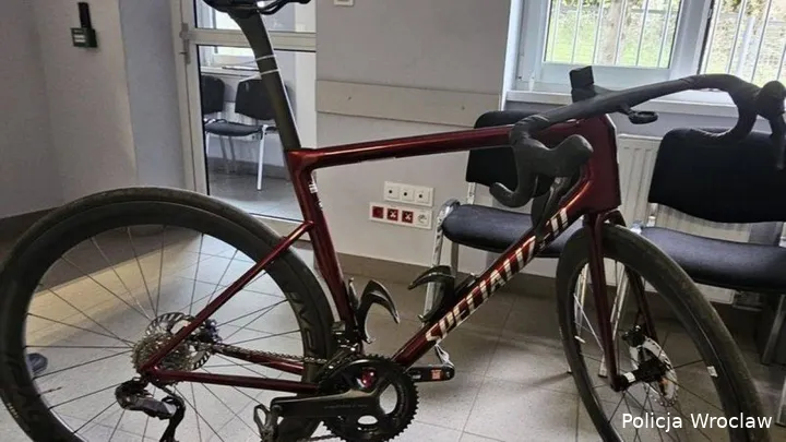specialized-polen