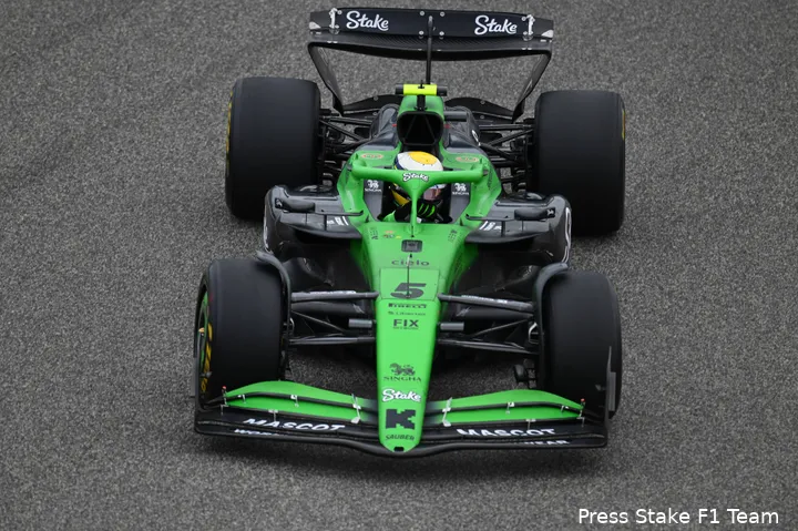 <i>Alonso was onder de indruk van Bortoleto.</i>