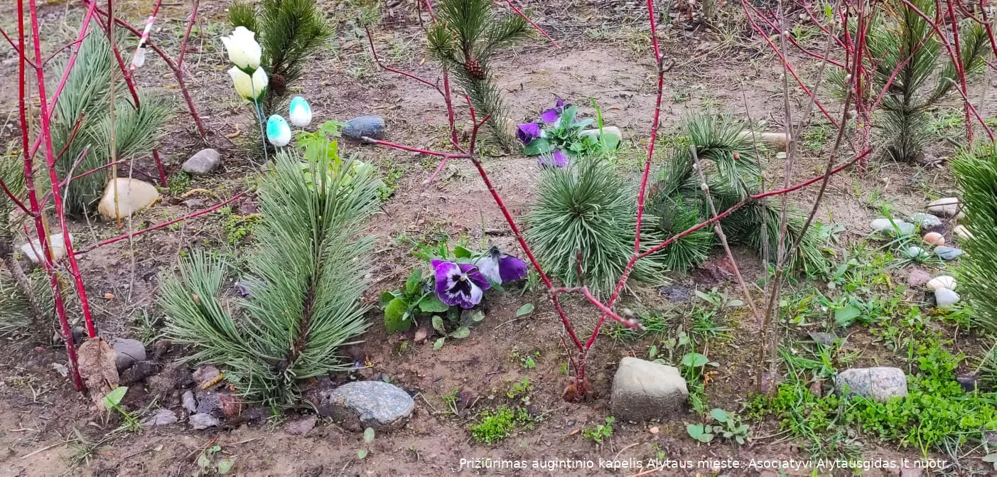 181295830 2682369528720296 66798882748058976 n