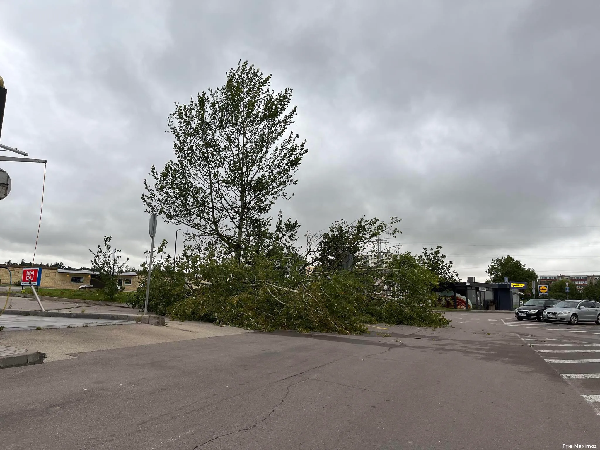 8256417a 2f67 4f89 a241 ea87f2e176d5