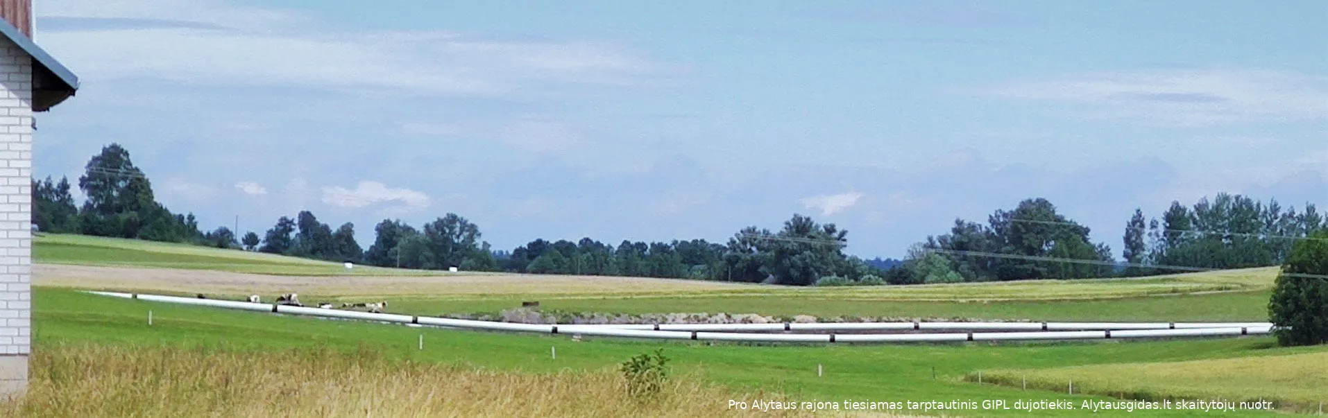 dujimg 20200705 122125