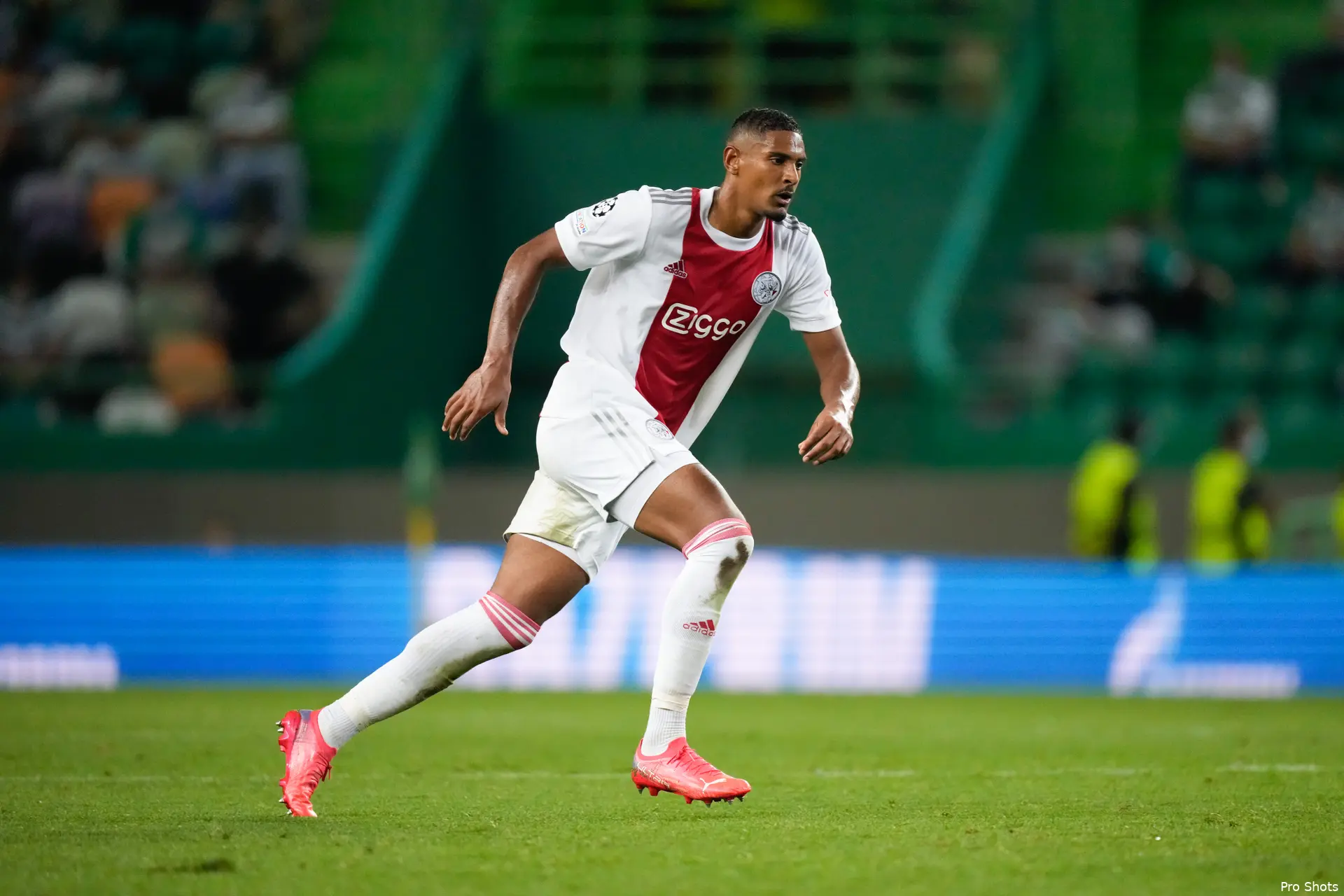 haller spo aja 2 2021