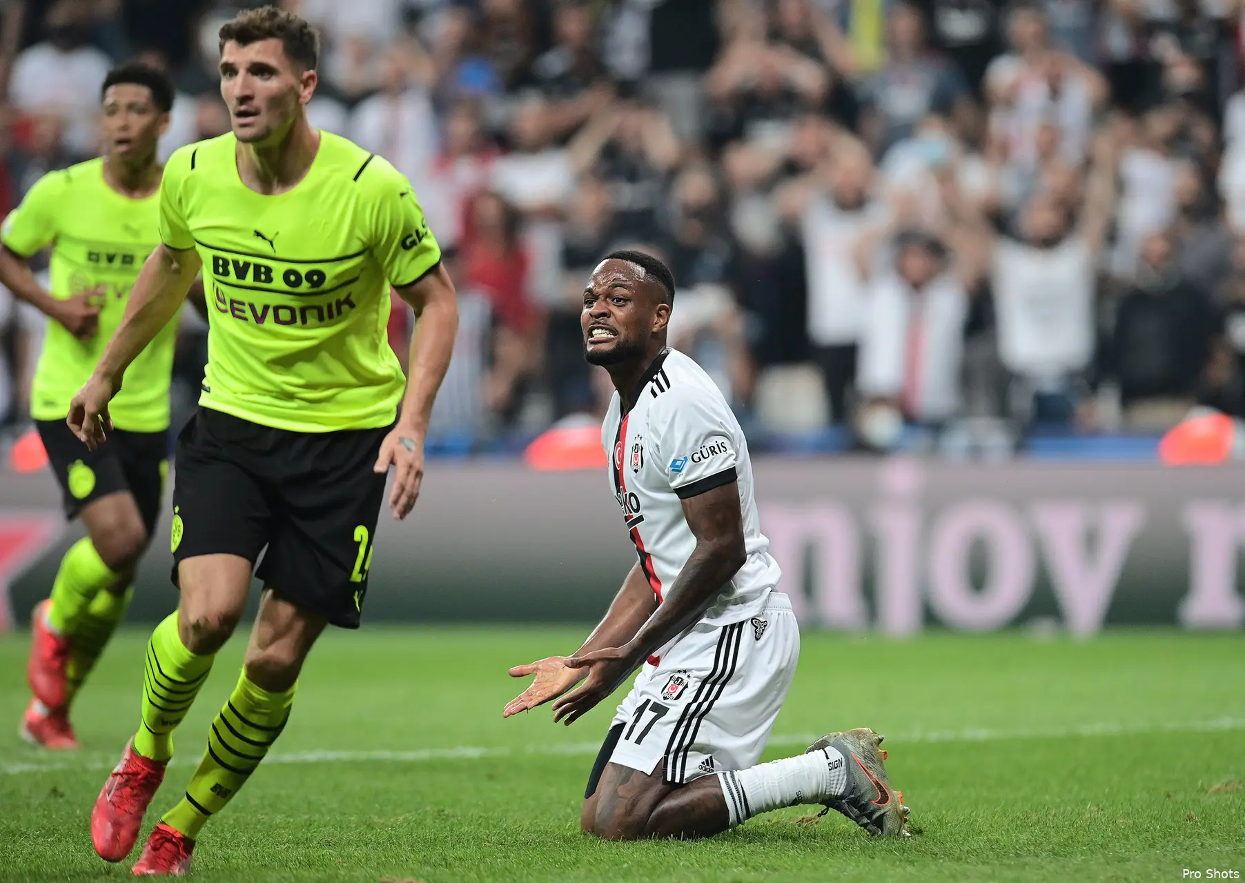 larin bes bor 2122