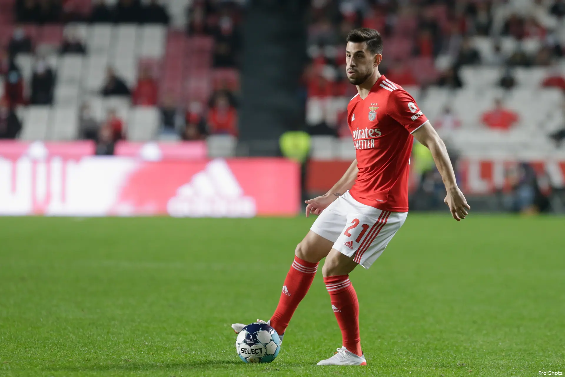 pizzi benfica