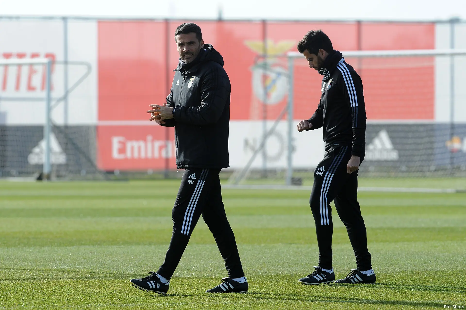 verissimo benfica training