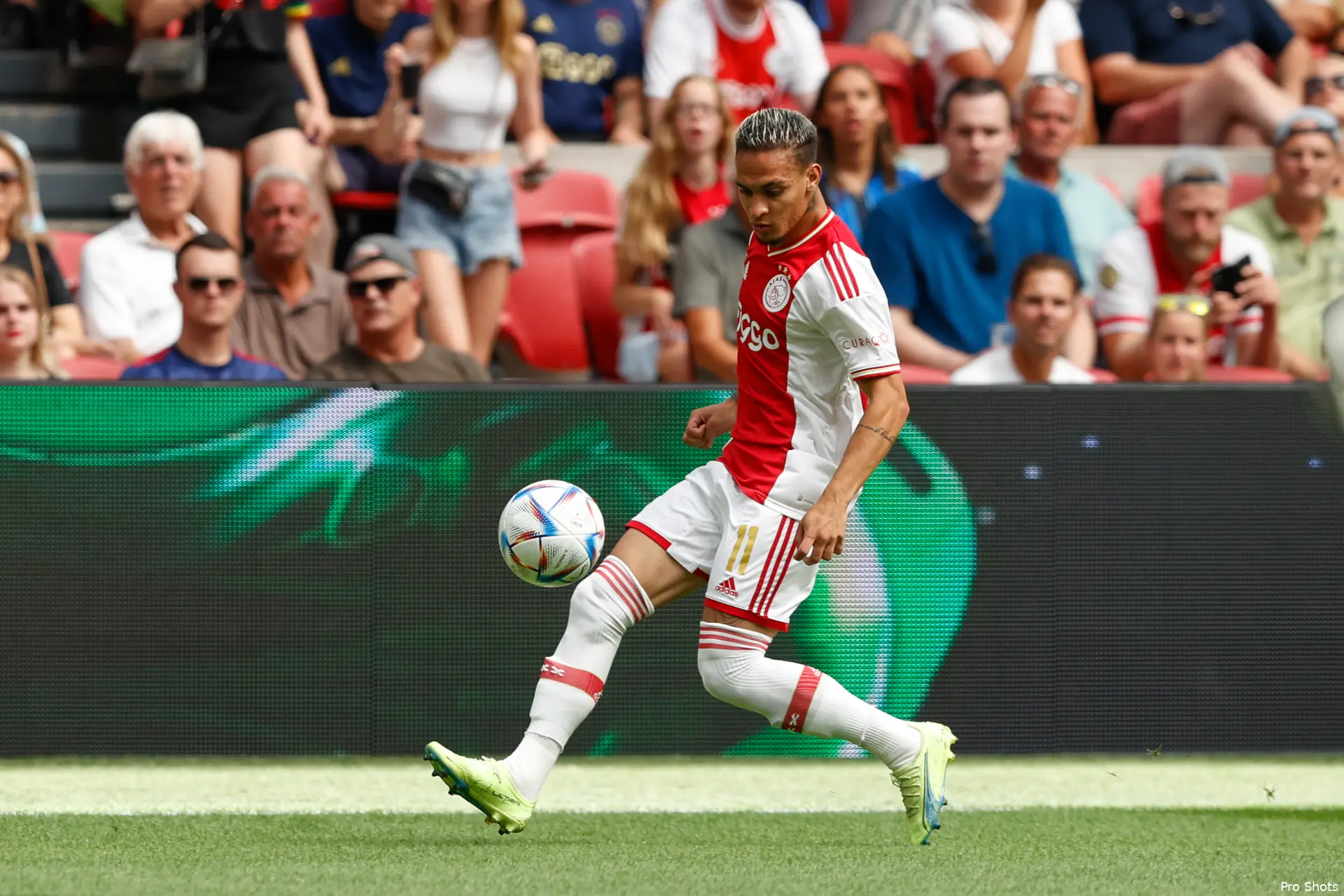 antony ajax gro 2223