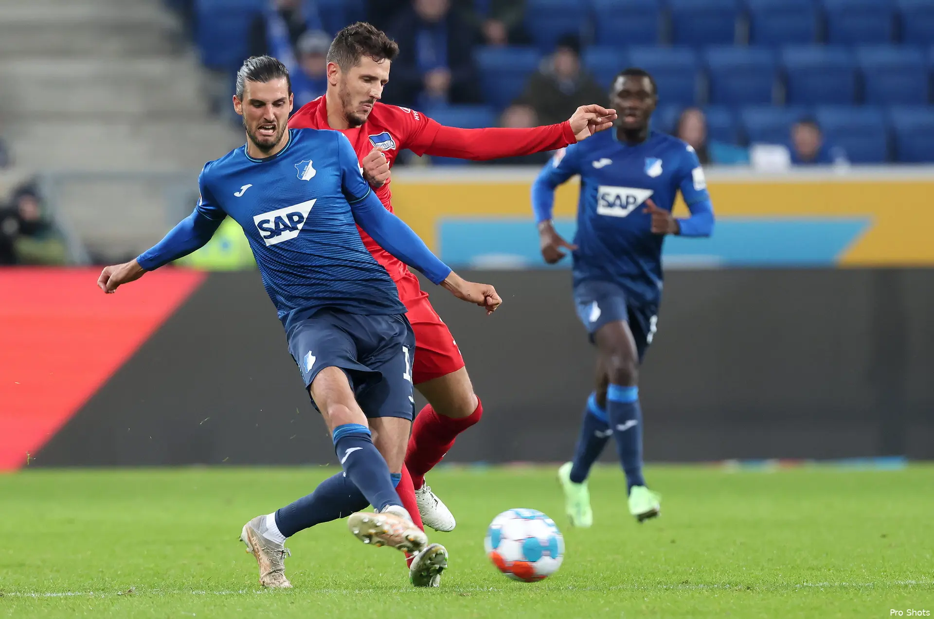 grillitsch hoffenheim