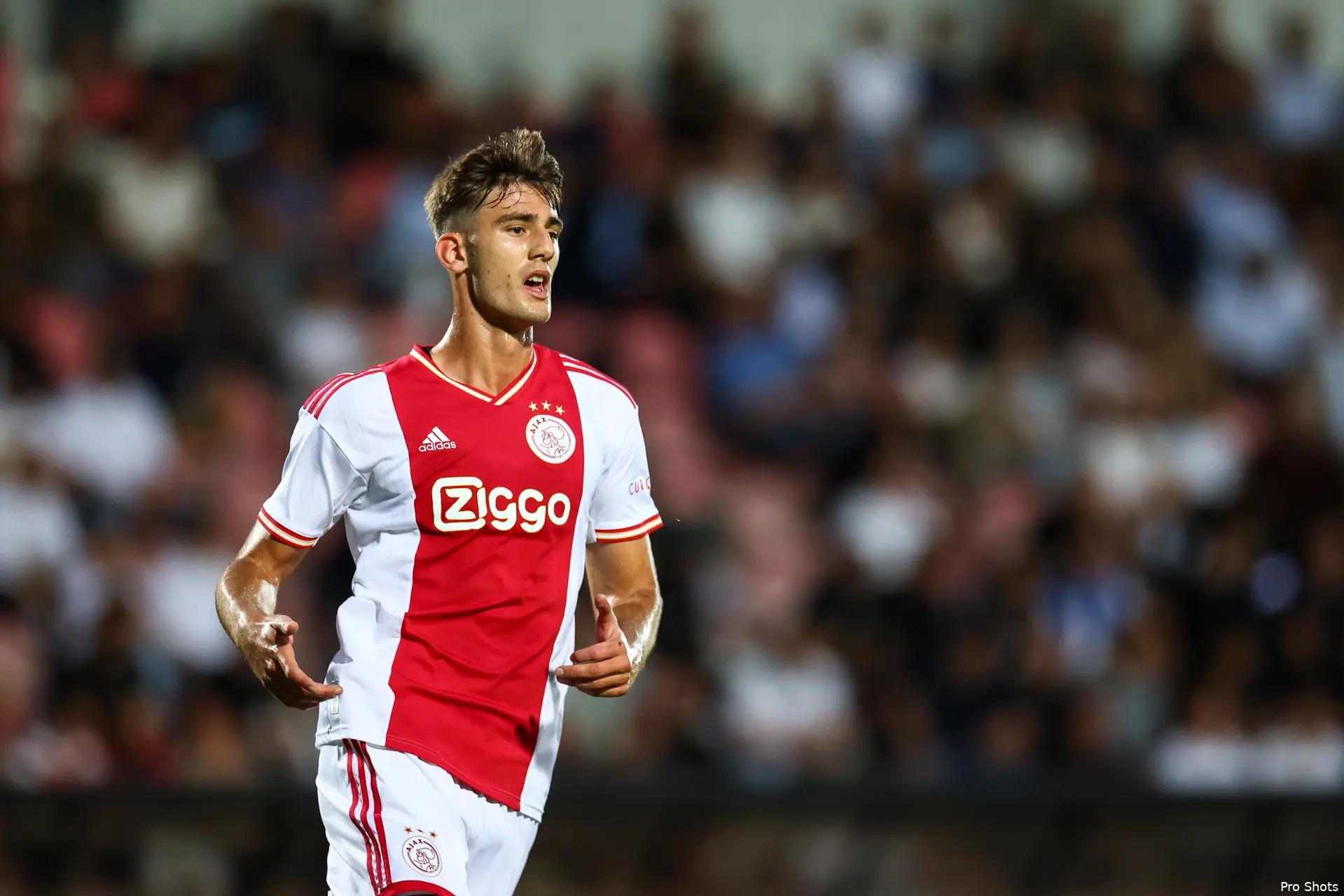 lucca ajax heracles 2223