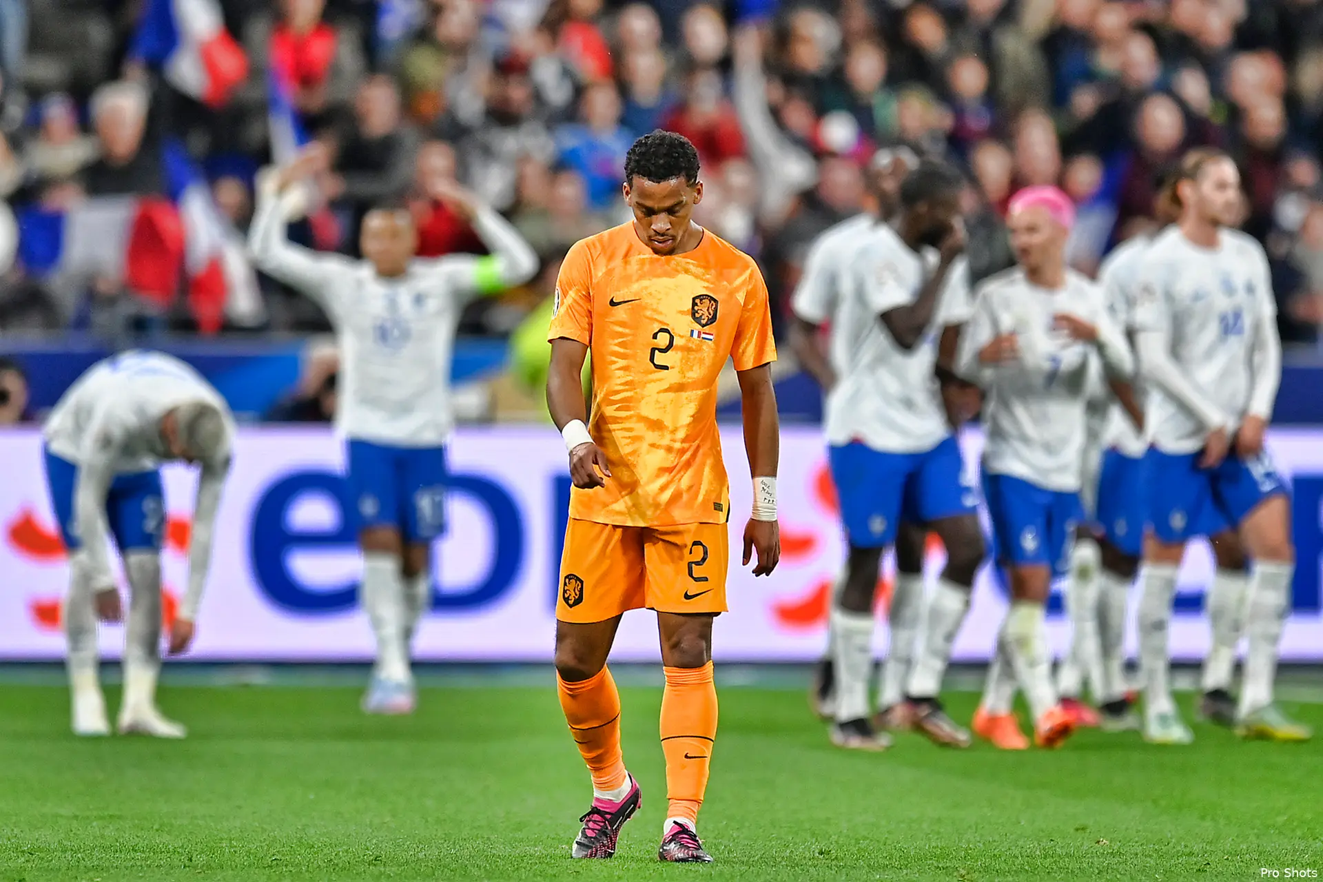 timber fra ned 2223