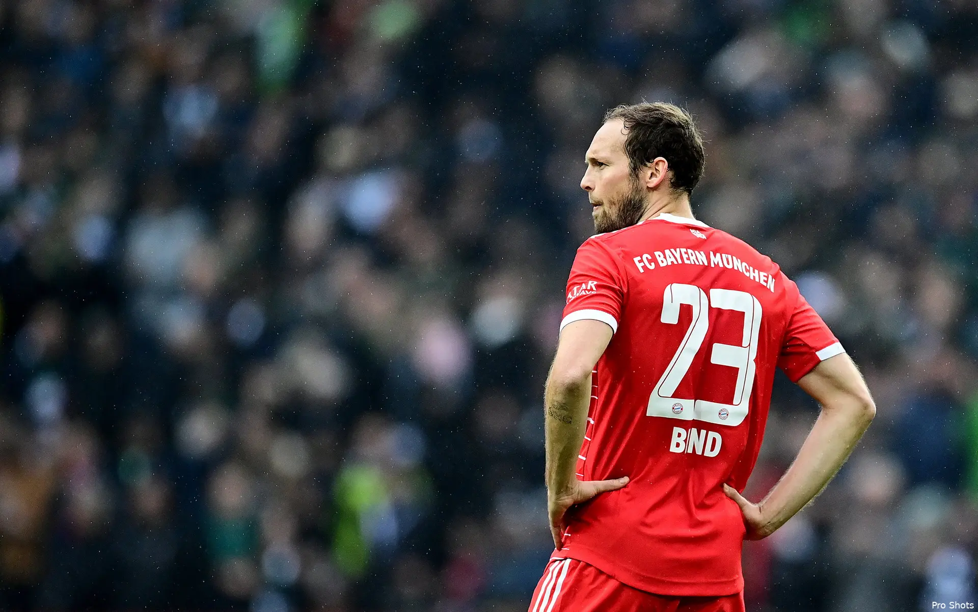 daley blind bay 2223
