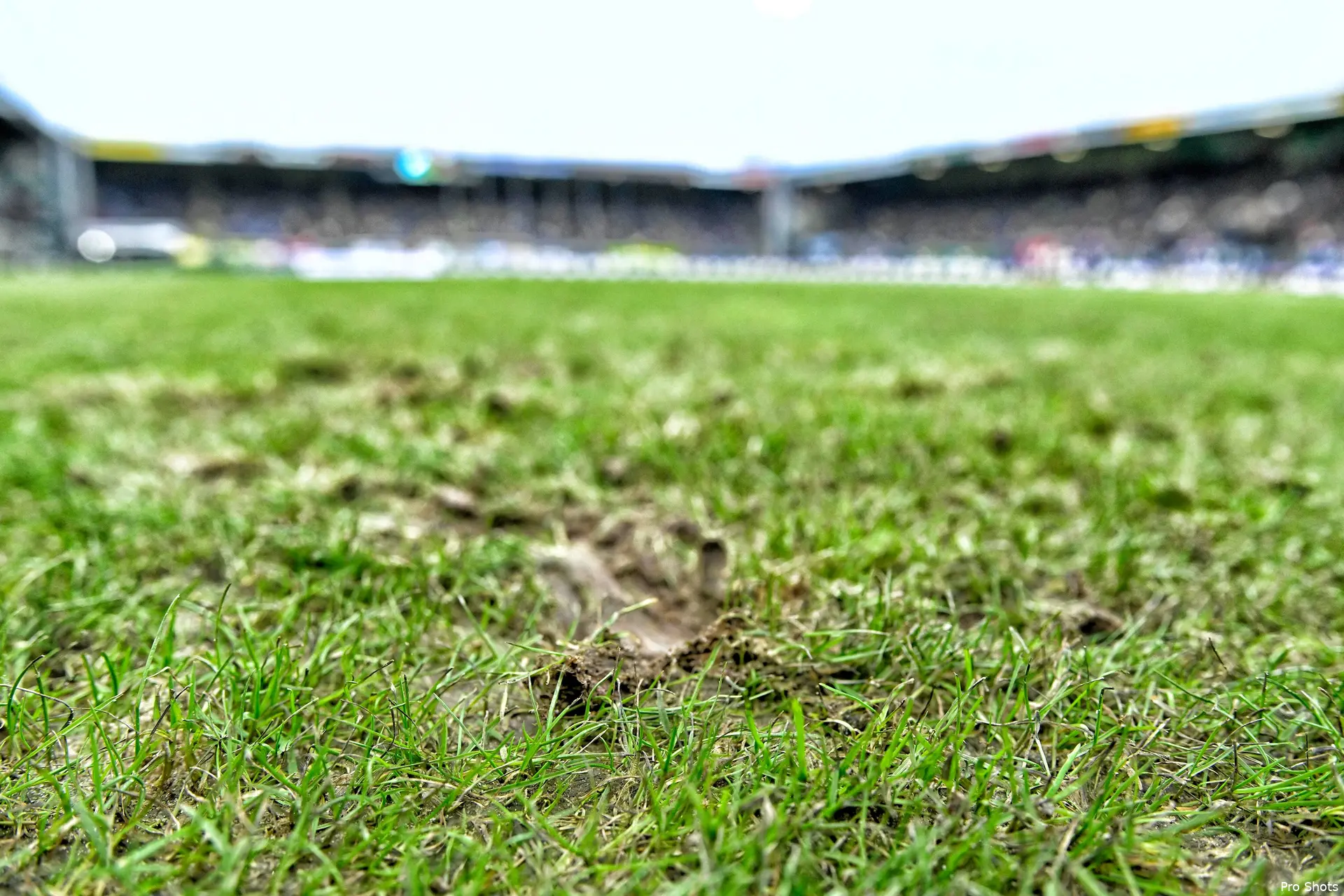 fortuna sittard ajax 24 25