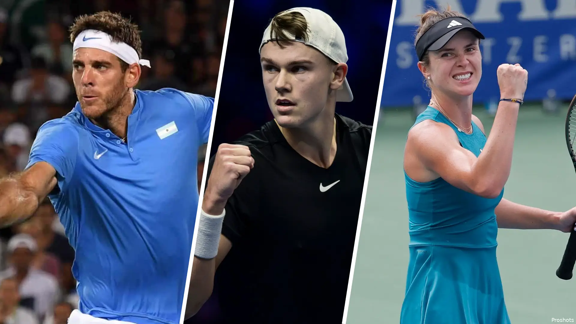 Collage DelPotroRuneSvitolina