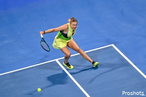 Anisimova swats return.