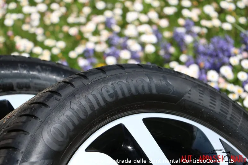 contiecoconctact5 01 e1492262123537