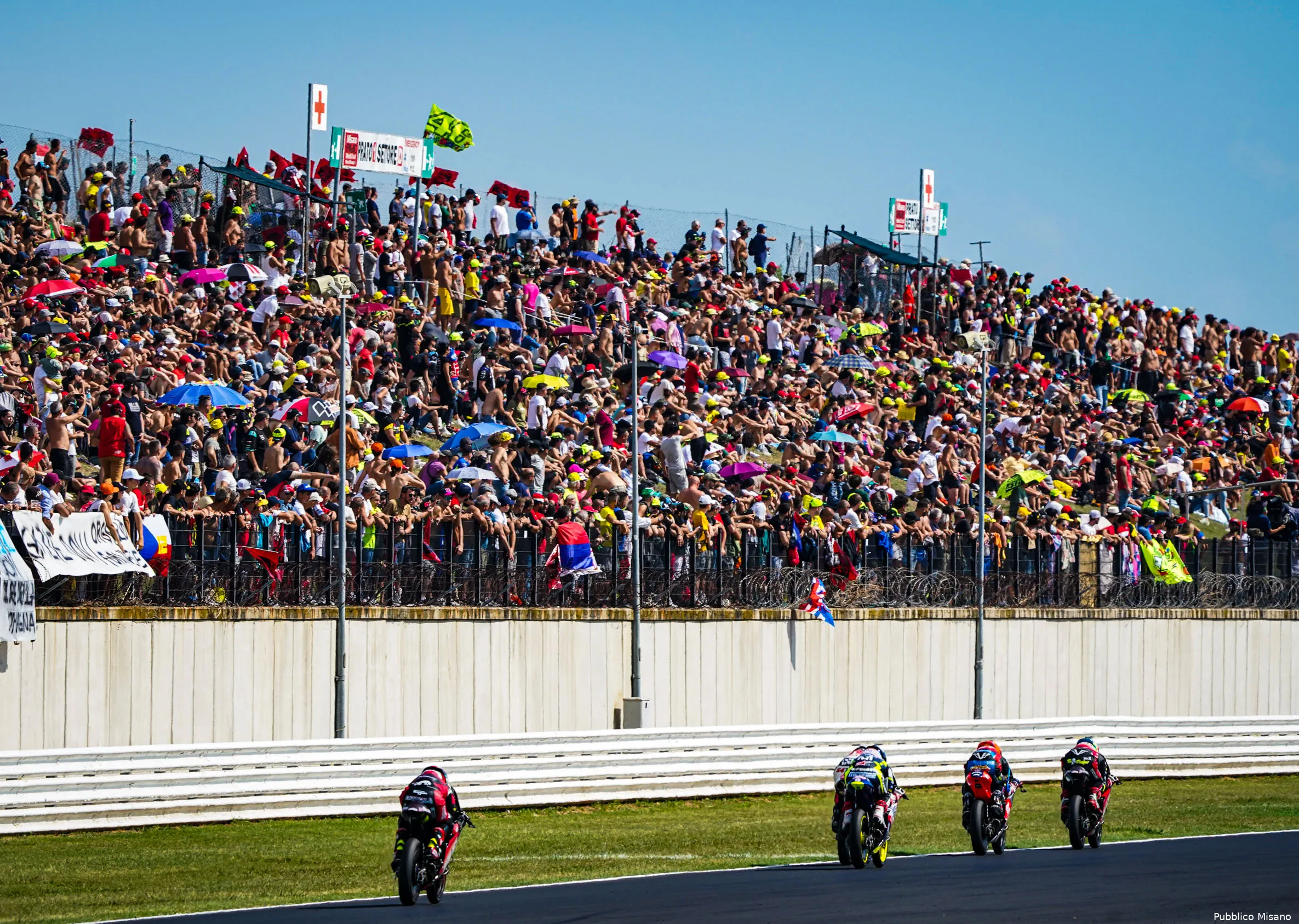 7 pubblico ph snap shot fabrizio petrangeli 53