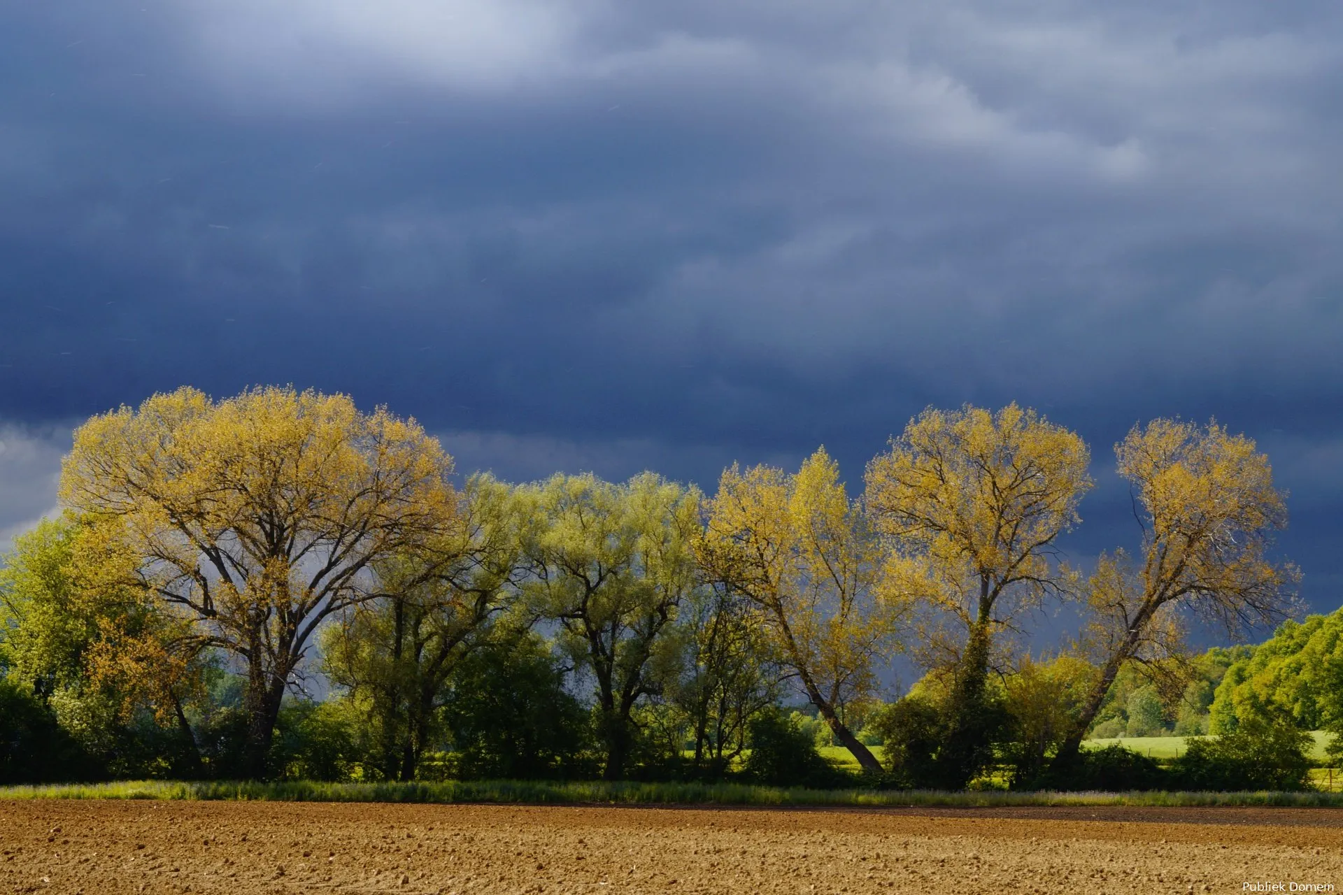 sturm baume feld himmel storm wolken regen onweer