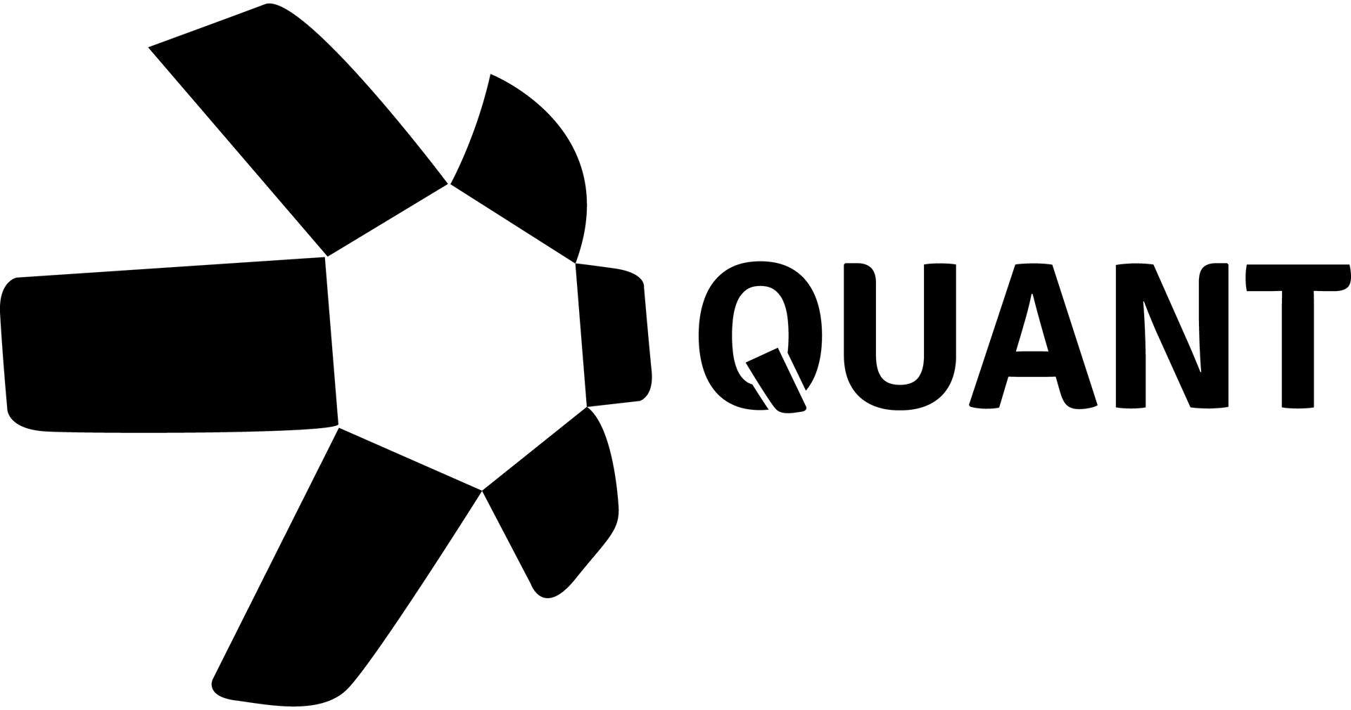quant logo 02