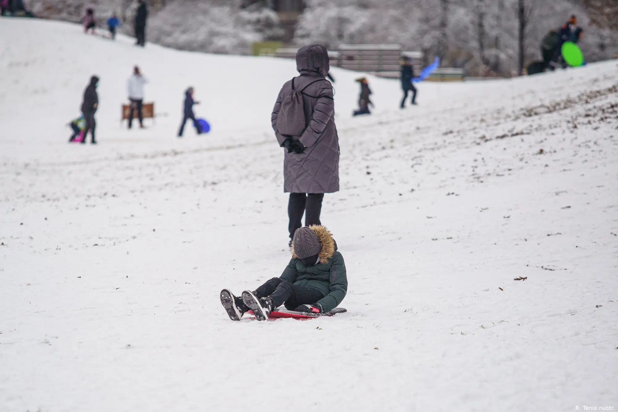 dsc07886