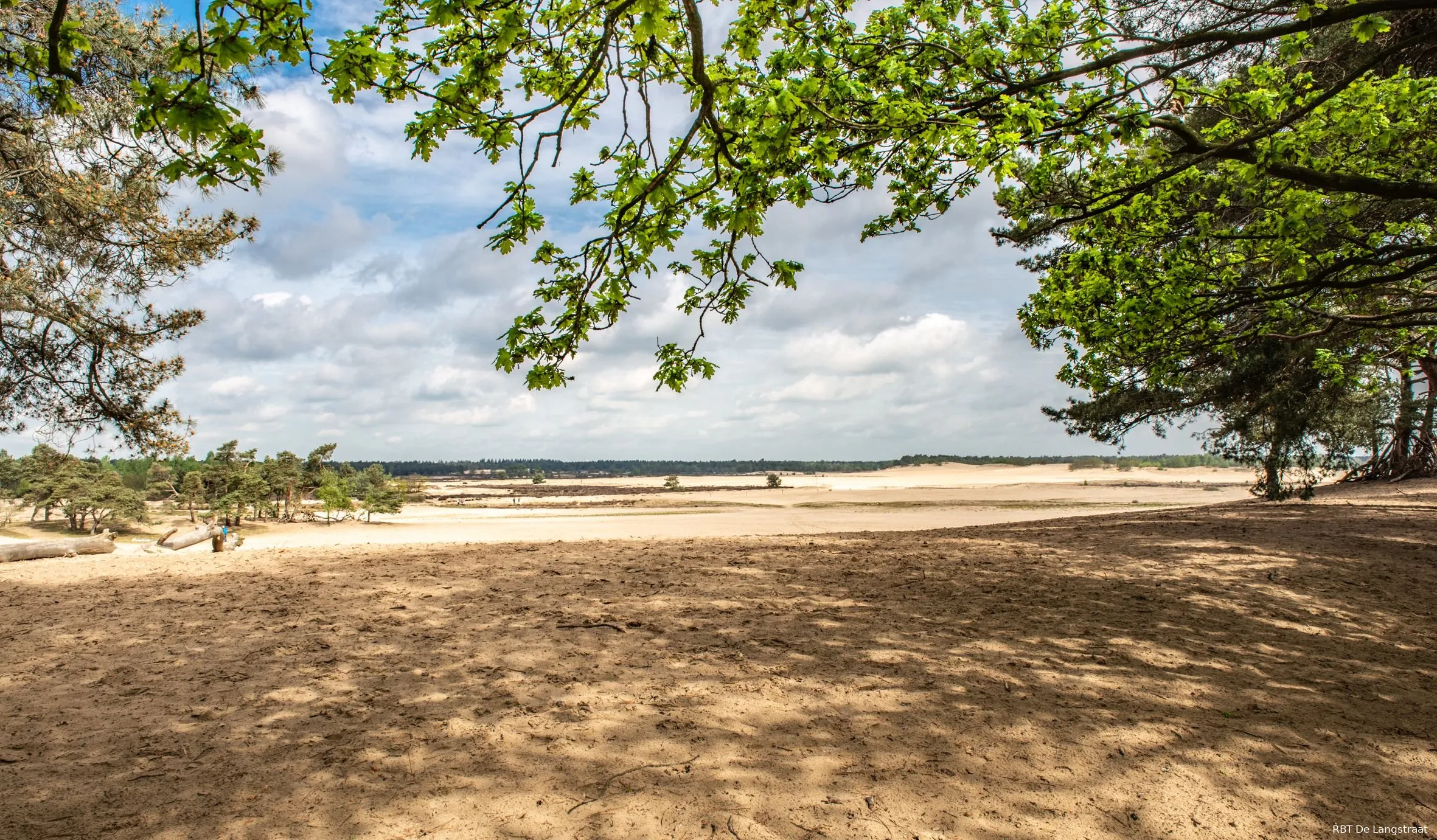 de loonse en drunense duinen uitkijkpunt