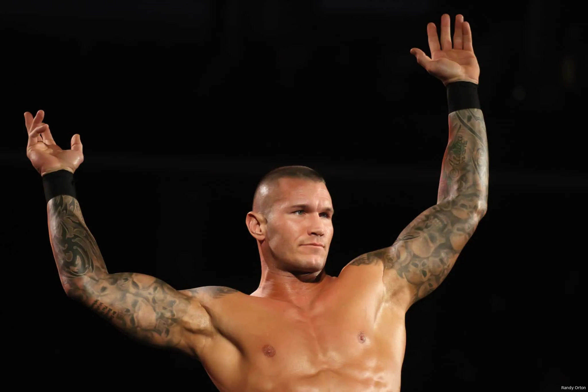 randy orton