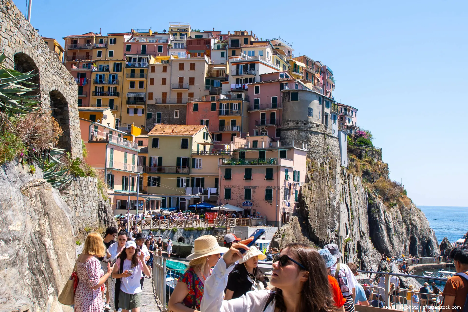 shutterstock_2662175929