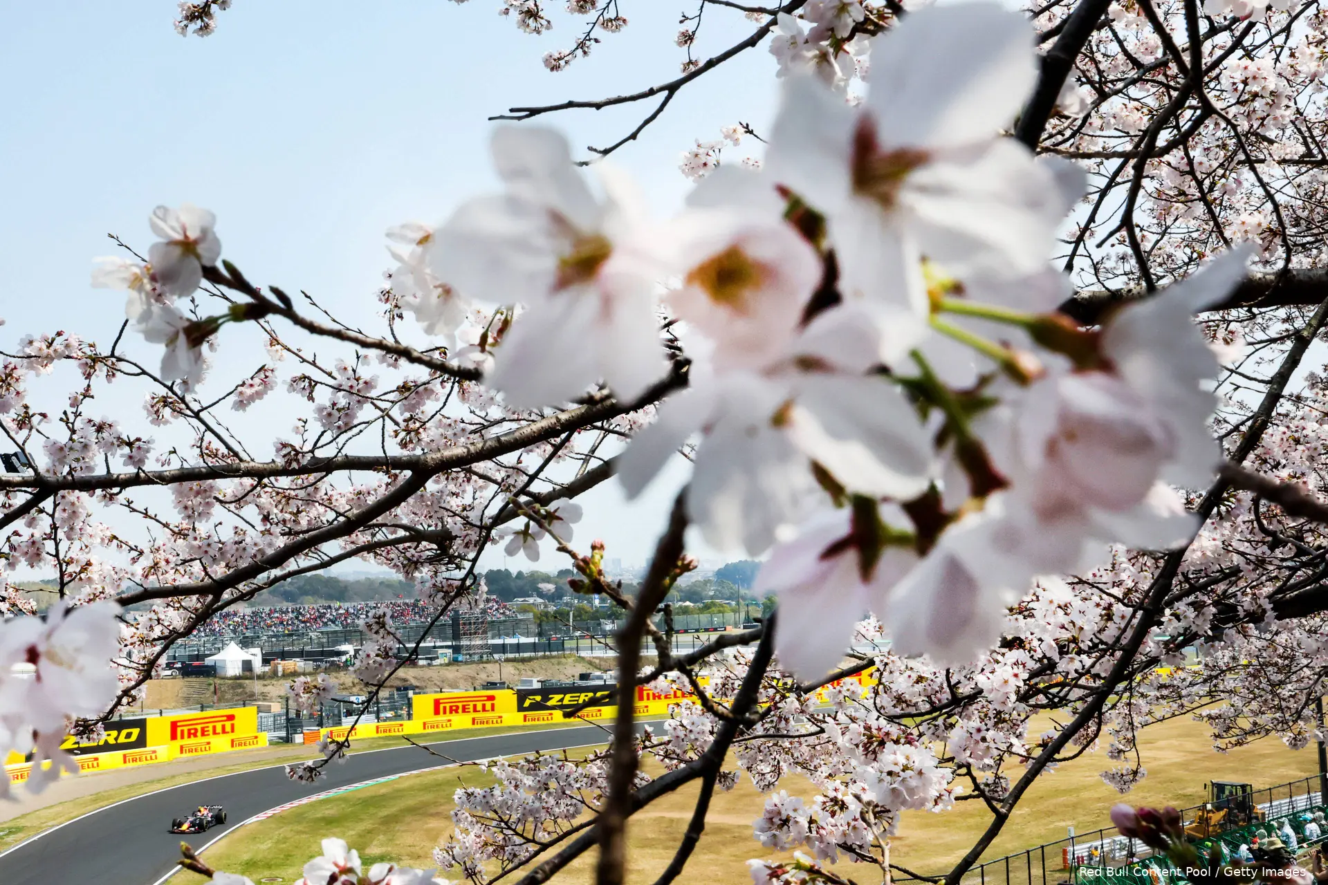 Hadjar_Isack_IsackHadjar_Japan_Suzuka_RedBull_Red Bull_2026