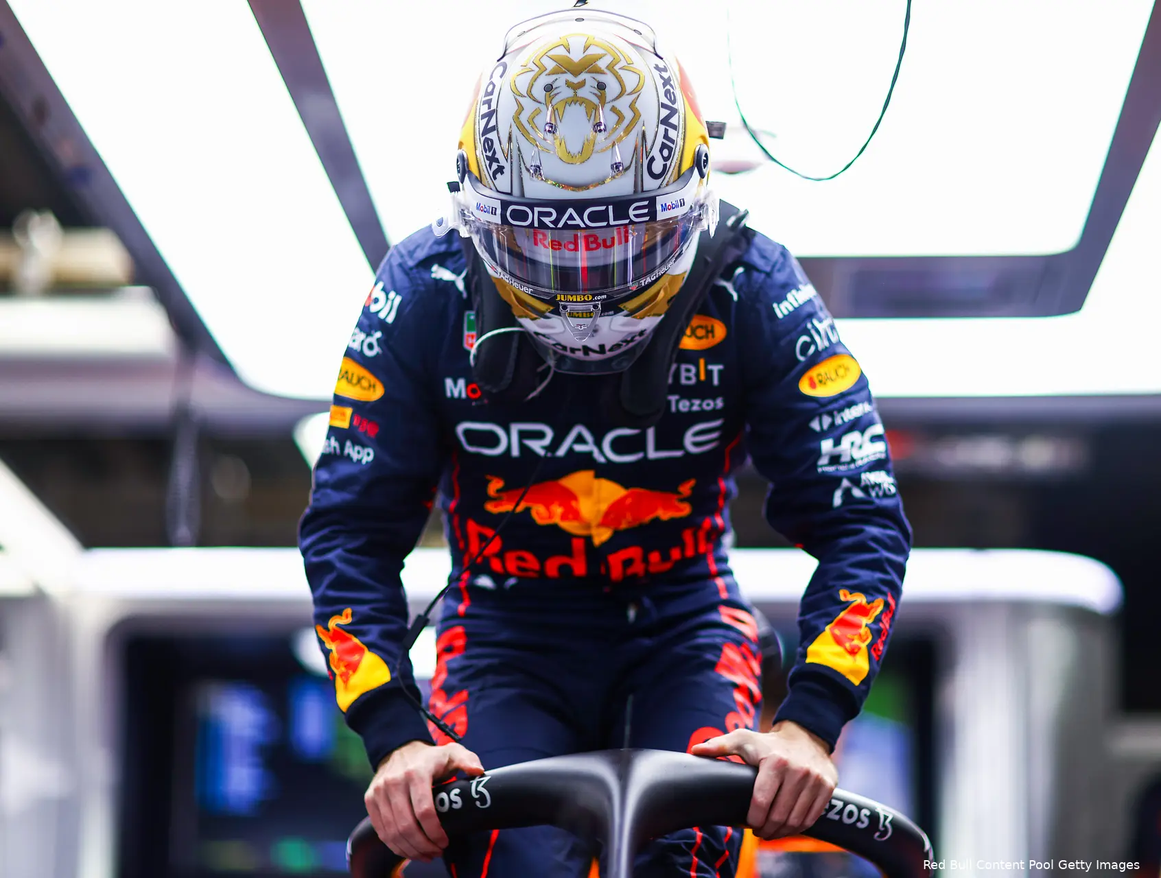 Max Verstappen Red Bull Racing Japan