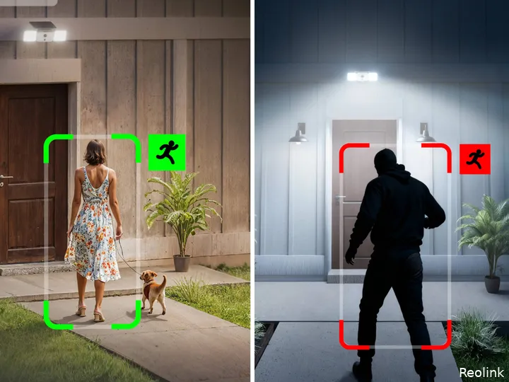 Reolink F310B detection
