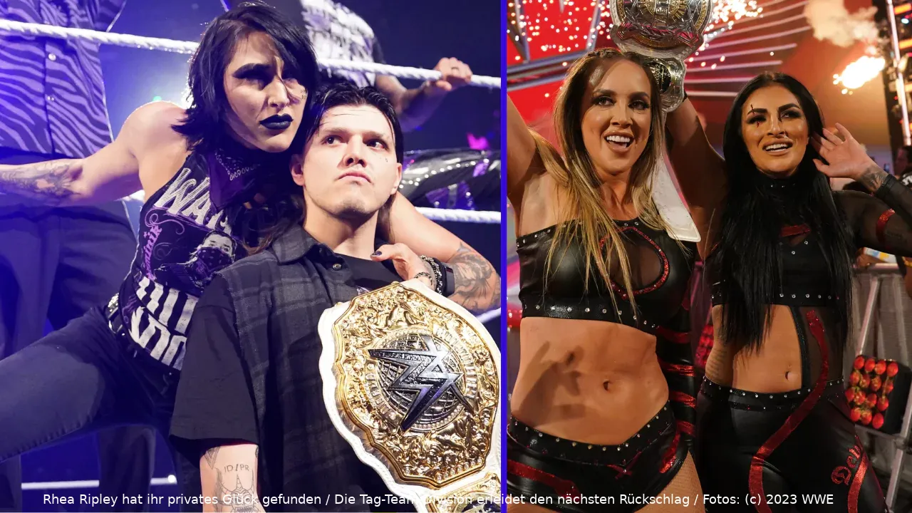 wwe news 100823