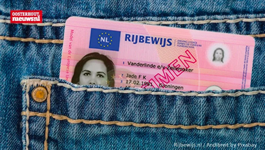 rijbewijs nl