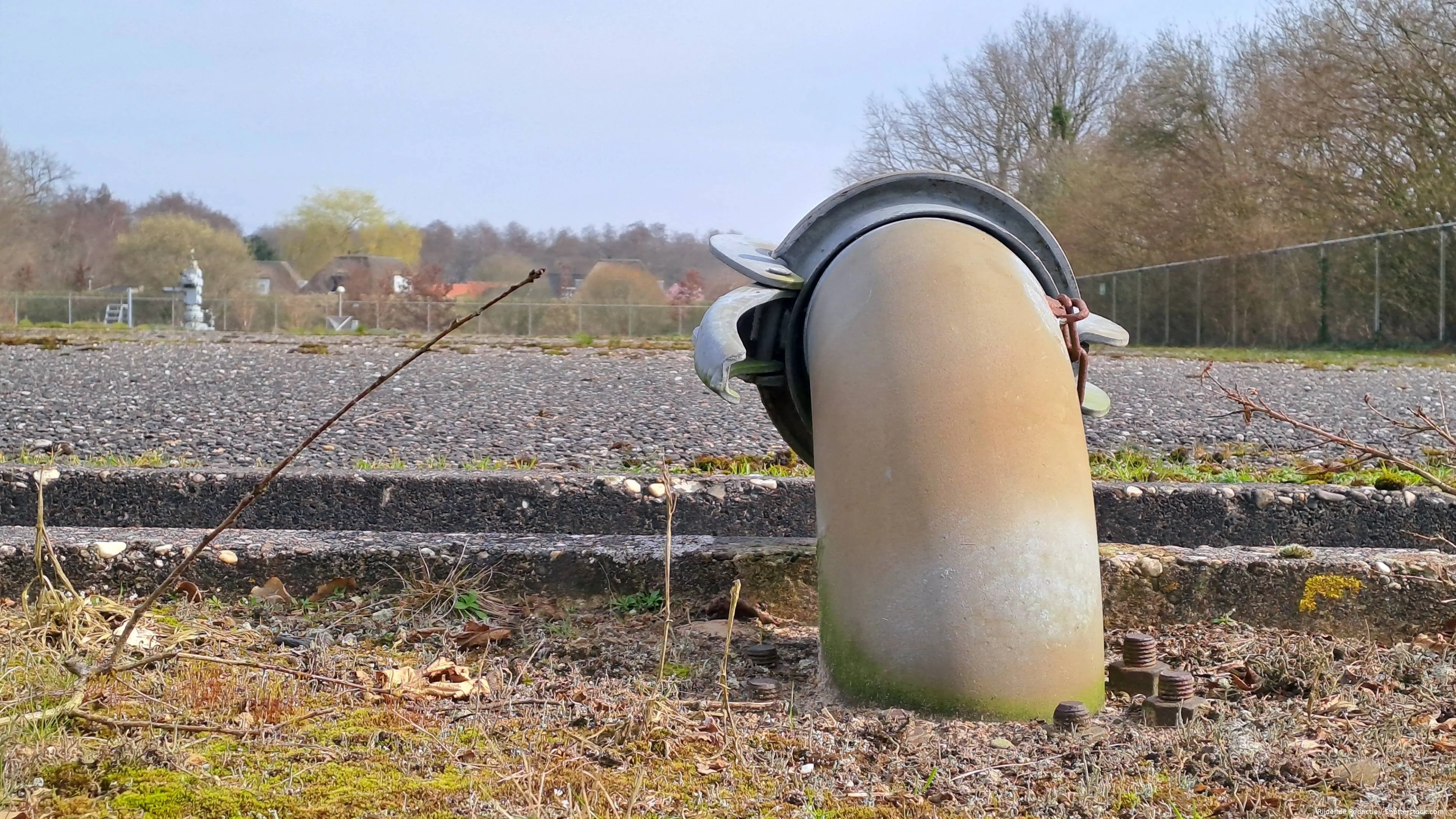 shutterstock_2436209345