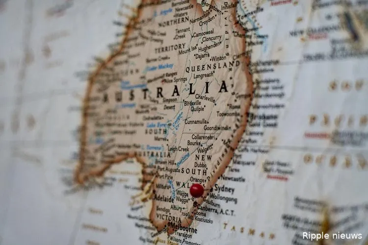 photo 1515861461225 1488dfdaf0a8